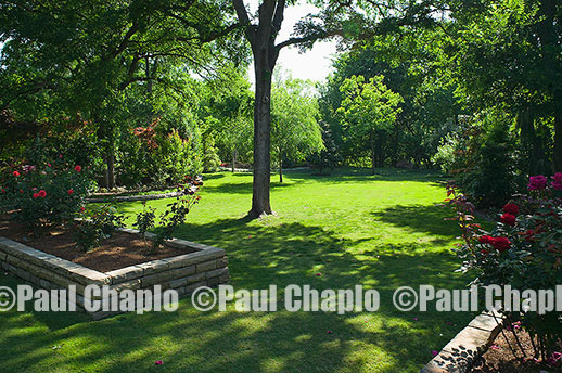 rose garden lawn  landscape architecture digital photographers Dallas, TX Texas Architectural Photography garden design
