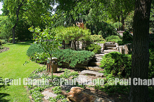 path ROCK garden landscape architecture digital photographers Dallas, TX Texas Architectural Photography garden design