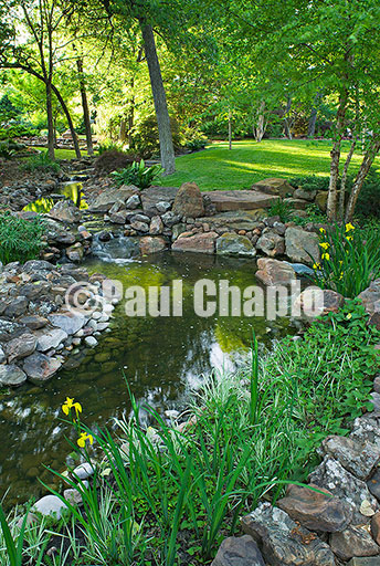 Landscape & garden photography for shelter magazine feature article 